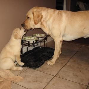 Meet your Posher, Linda